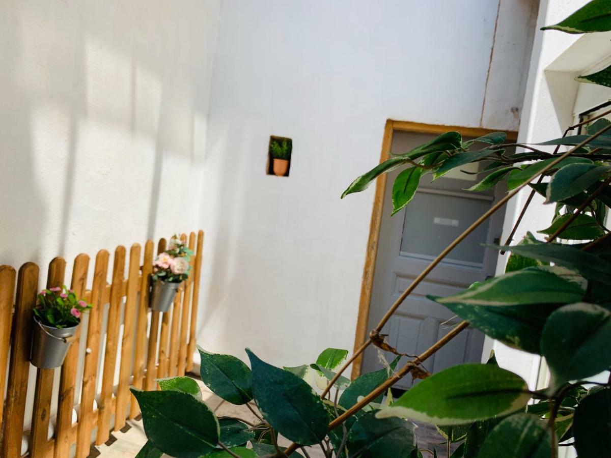 Cassis Apartment